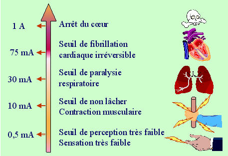 Effets du courant �lectrique