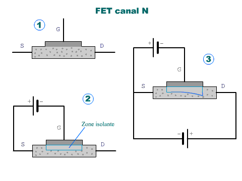 Pincipe de fonctionnement d'un transistor à effet de champ