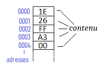 Organisation de la mmoire